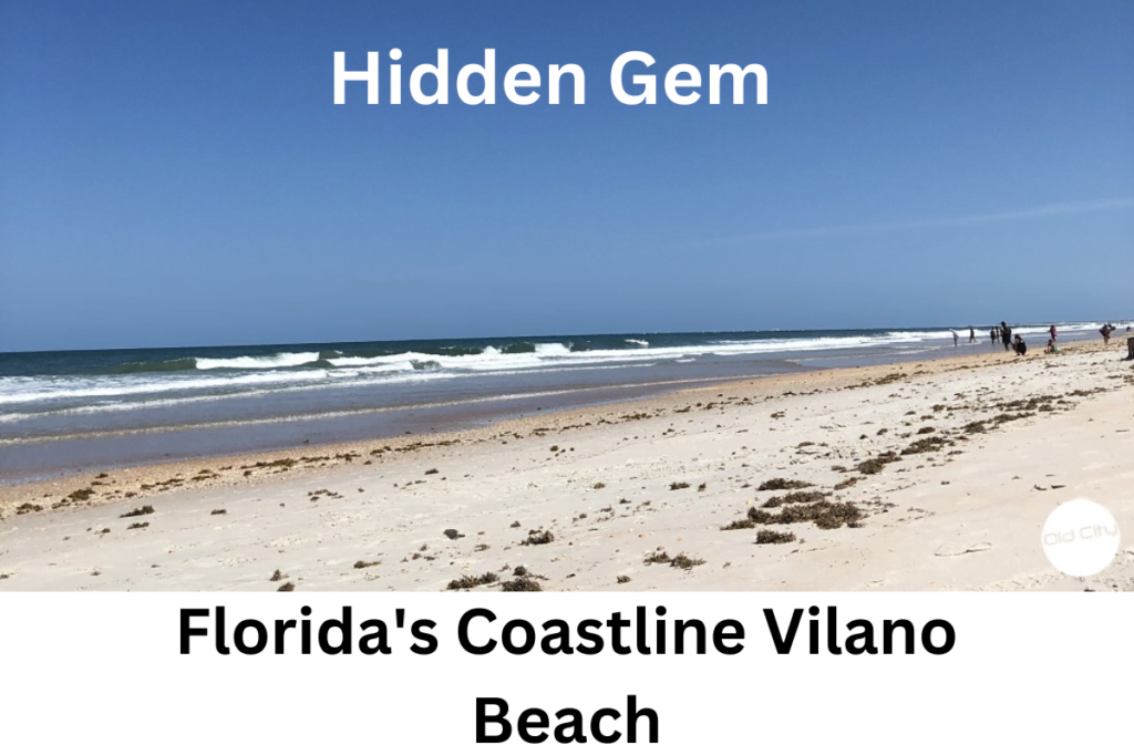 Florida's Coastline Vilano Beach