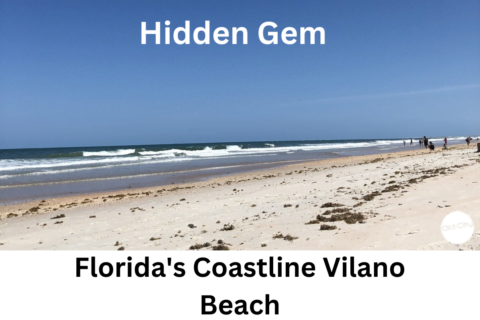 Florida's Coastline Vilano Beach