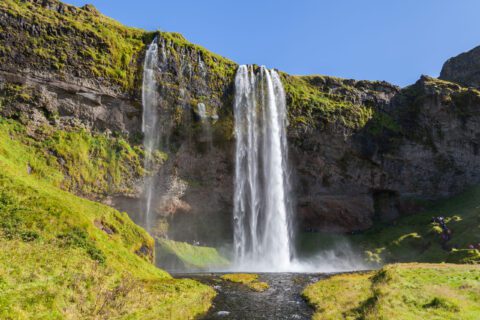 Majestic waterfall surrounded by vibrant greenery, Iceland Golden Circle.