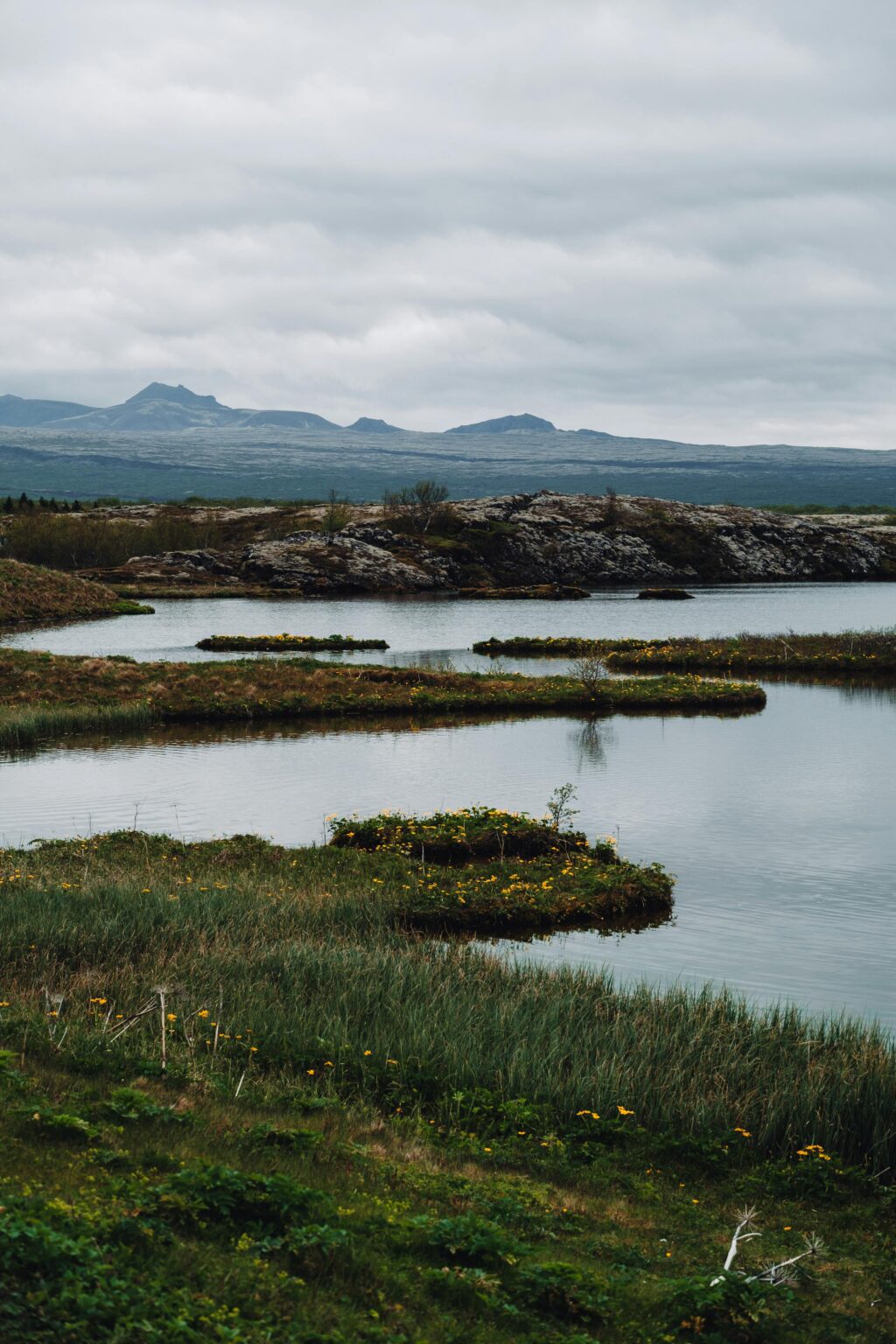 Scenic Silfra Fissure in Thingvellir National Park: tranquil body of water surrounded by grass and rocks.