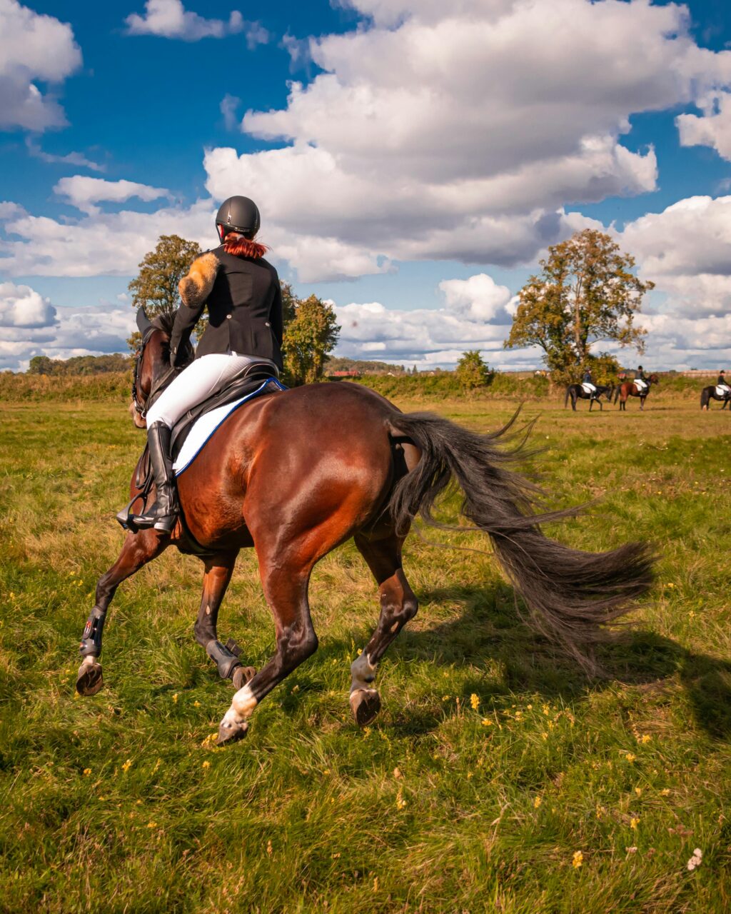 A person rides a horse at Bourton Vale Equestrian Centre, surrounded by the scenic beauty of Bourton-on-the-Water.