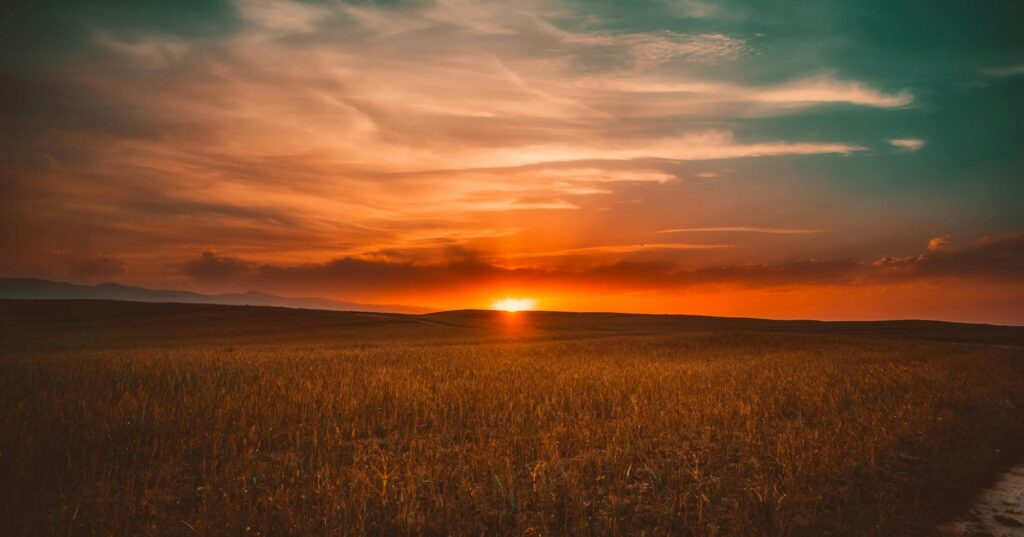 A serene sunset casts warm hues over a dirt road winding through Greystone Farm Nature Reserves in Bourton-on-the-Water.